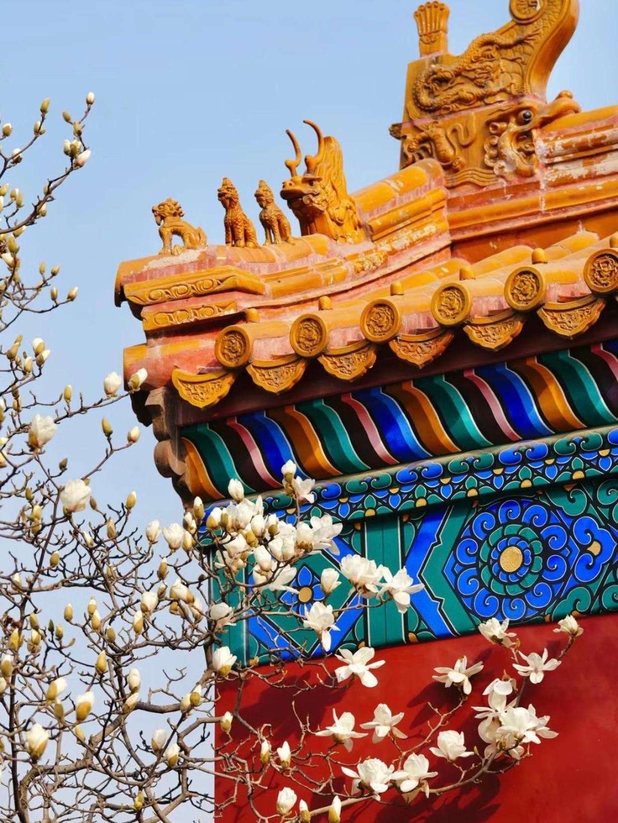 Happy Dragon Courtyard- Newly Renovated With French Windows, Near Tian'Anmen Forbidden City,Lama Temple And Heaven Temple, 3Minutes Walk From Subway,Fluent English Speaking With Tourist Sights Tickets Service ,Free Coffee &Laundry Service Pequim Exterior foto